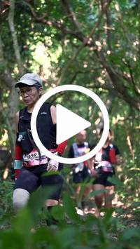 BIB:  <button type="button" onclick="openModal(28066961)" class="btn btn-primary btn-sm float-right" data-toggle="modal" data-target=".modal-high-quality">
                <i class="fa fa-download"></i> Download
                </button>